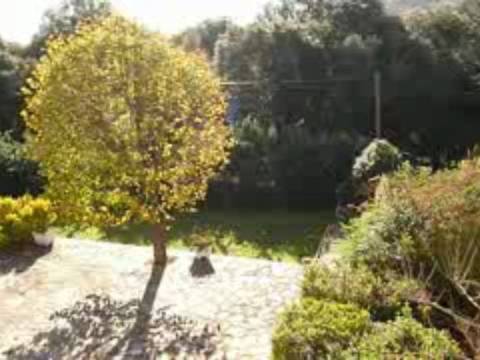 Soleil sur volpaja