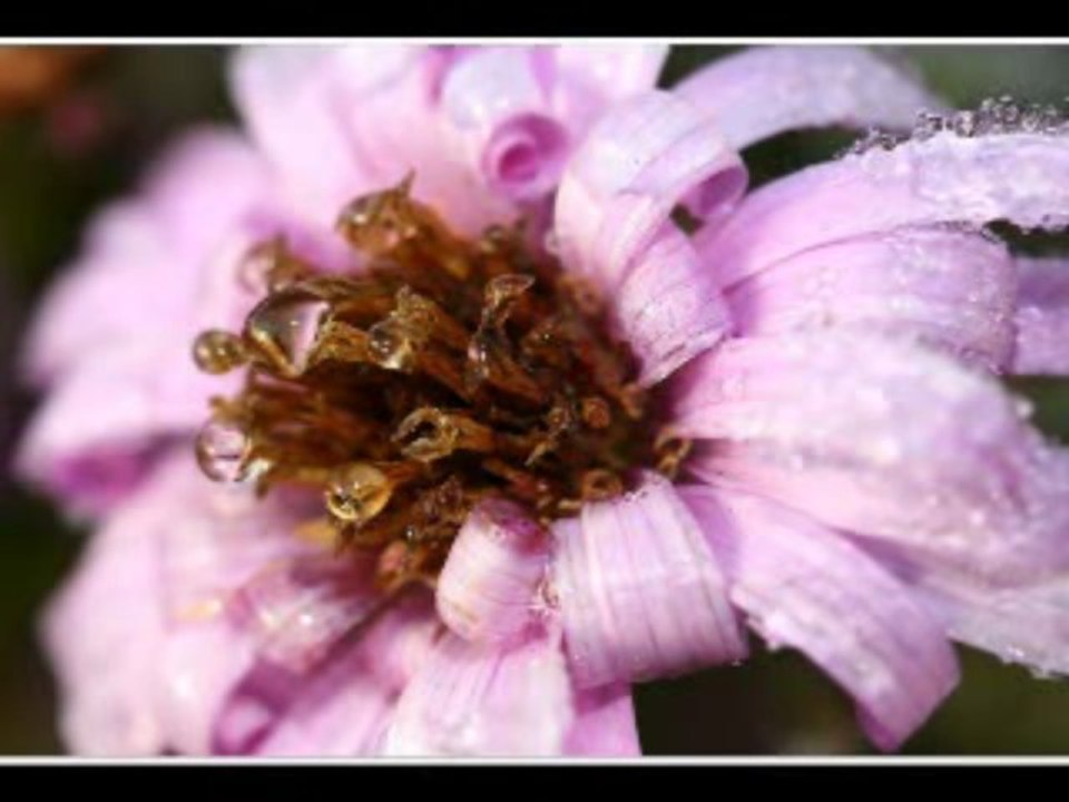 Красивые фото, пейзажи, слайд шоу, photo landscape