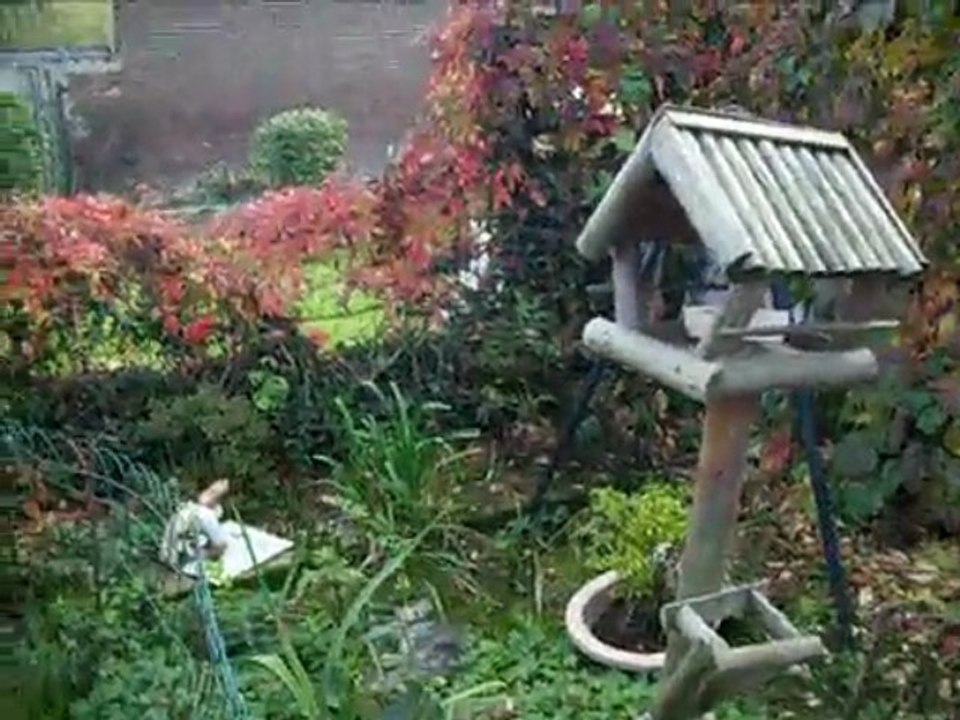 l automne chez moi