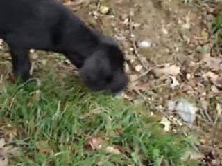 petite balade avec Vendoline