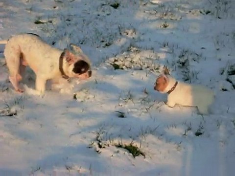 Les premiers pas d'Enola dans la neige