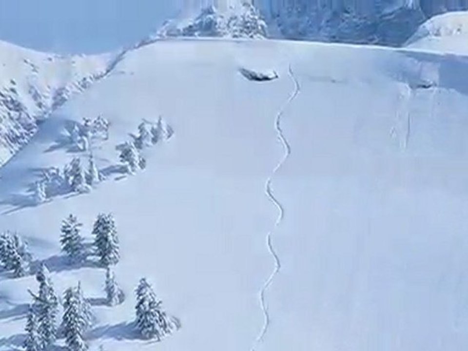 Llama Lou's Reservation Services - Jackson Hole, WY