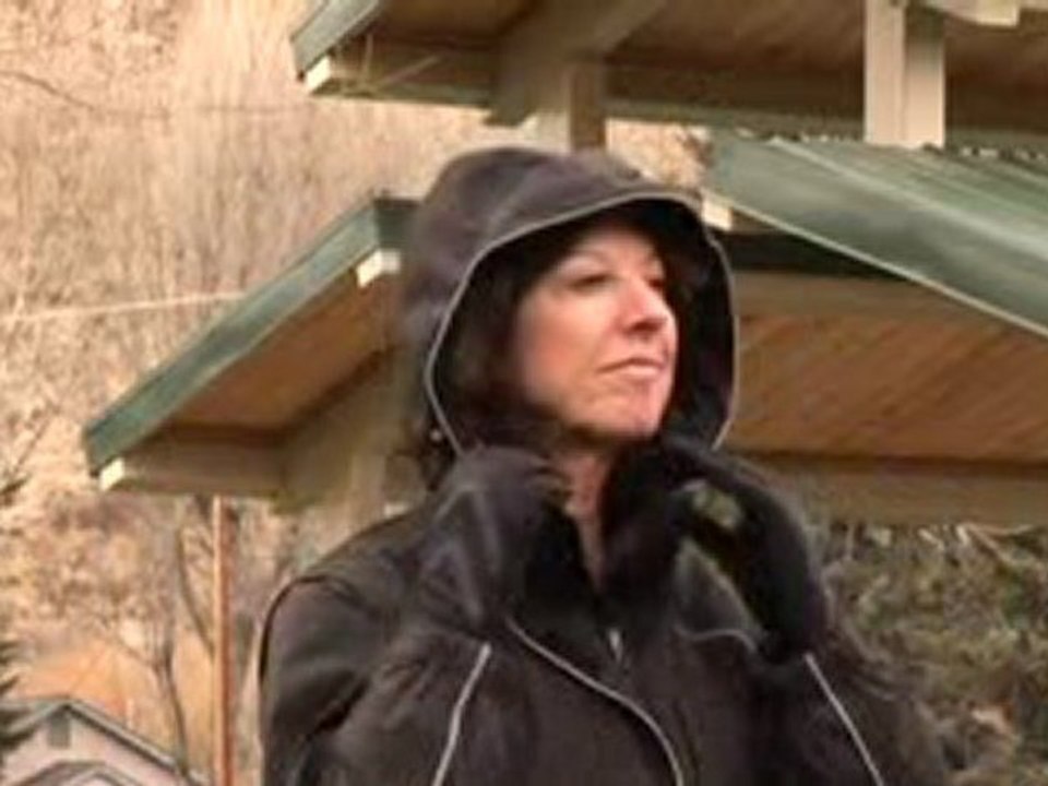 Let's Go Design - Dog Walking Utility Jacket