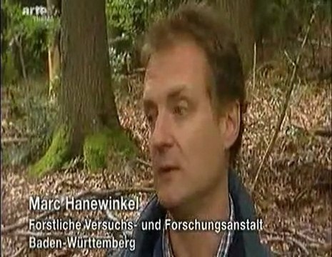 Lothar: la grande tempête de 1999 Part 3/3