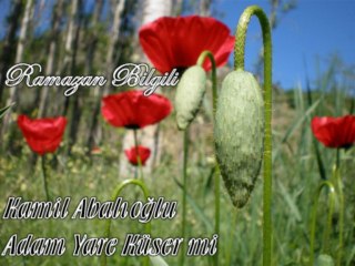 Kamil Abalıoğlu - Adam Yare Küsermi