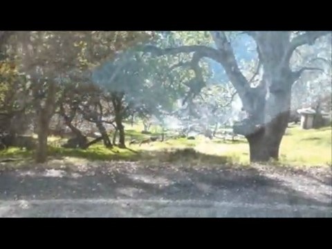 RV Trip Sequoia National Park