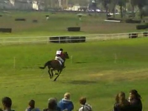 Le mondial du lion d'angers
