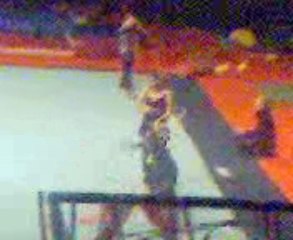 Le gala au palais des spectacle