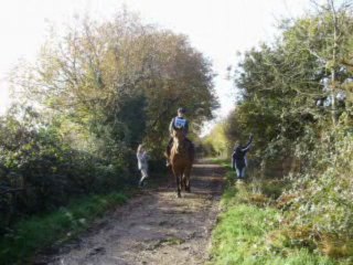 21 TREC Weekend on October 21-22 🐎