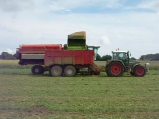 Récolte pois de conserve en 2009