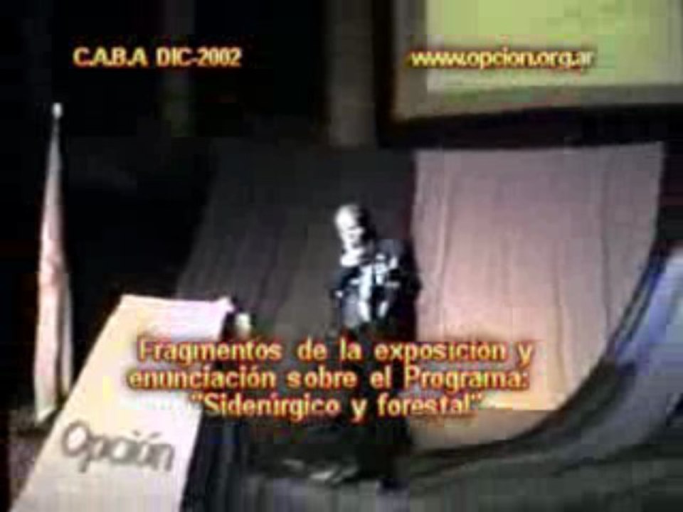 Cap. 18 (de 20) Programa Siderúrgico y Forestal.