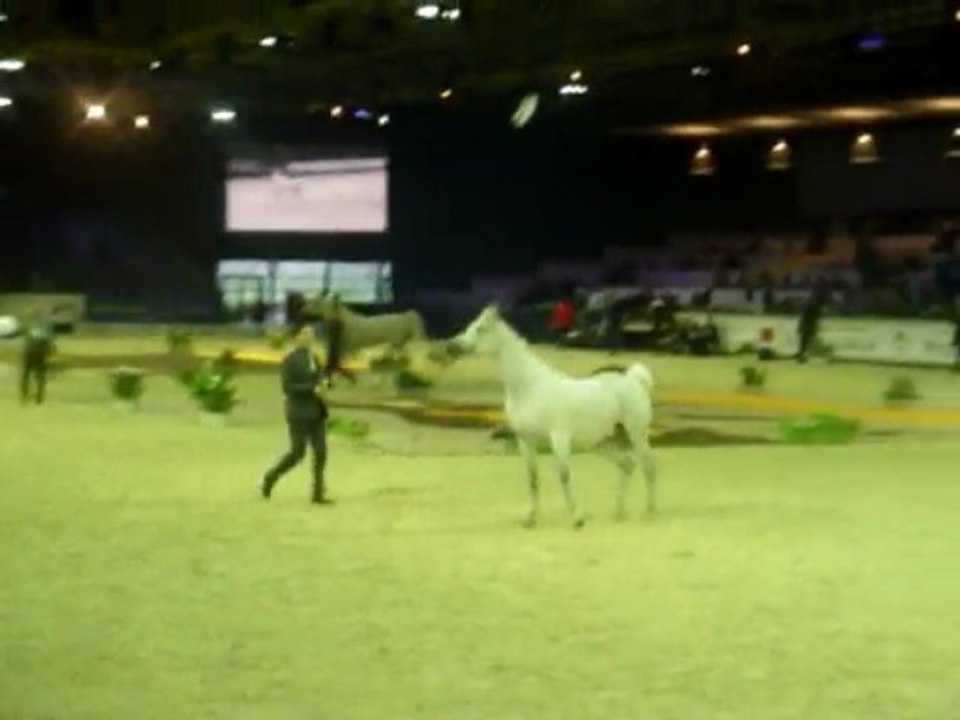 Championnat PSAR a Paris 2009