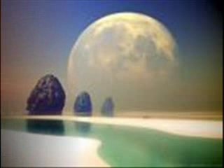 Aynur Dogan Yunmayın Kırpıklerını