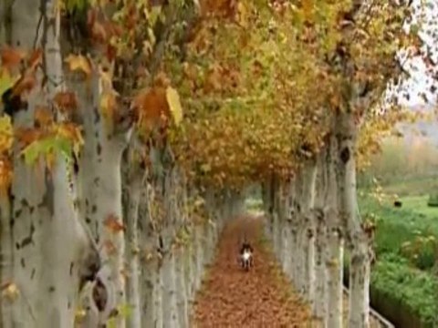 Star TV nin Aralik ta baslayacak yeni dizisi MASKELI BALO