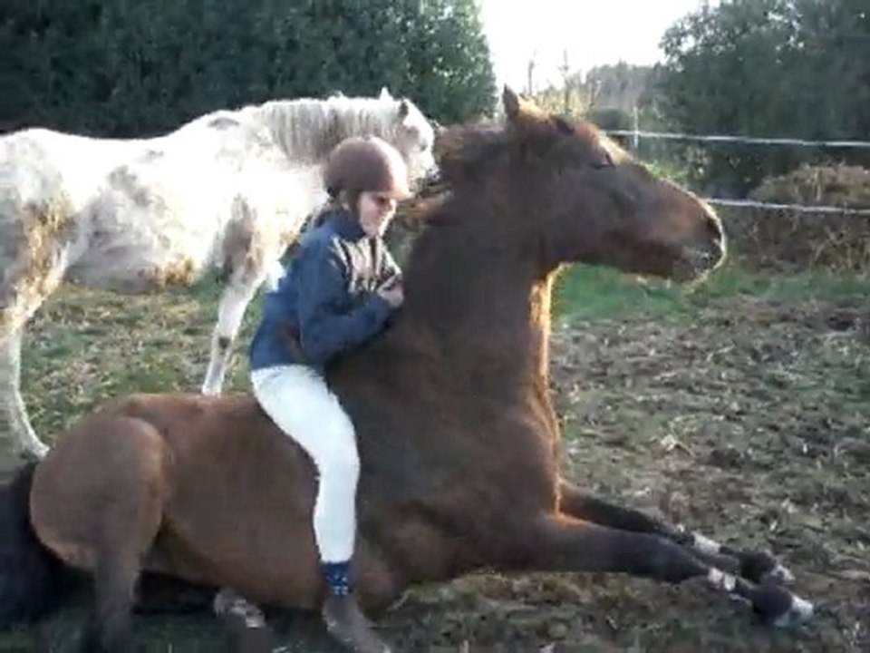 montage couchée Waly