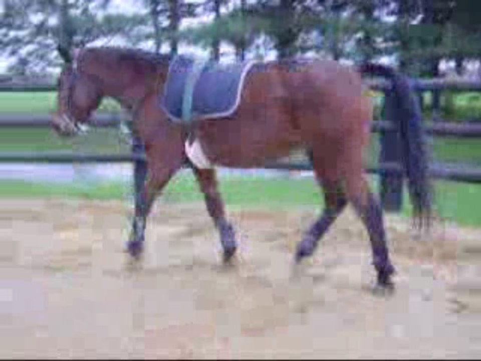 Faut pas pousser hein