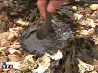 Manifestation Anti-marres noires Batz/Mer