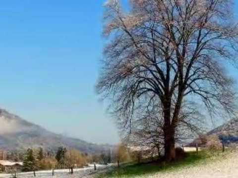 Kinh Chiều-Hoàng Thi Thơ-Hoàng Oanh