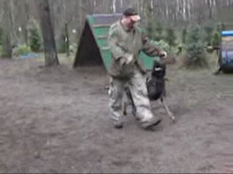 Devil, video 4