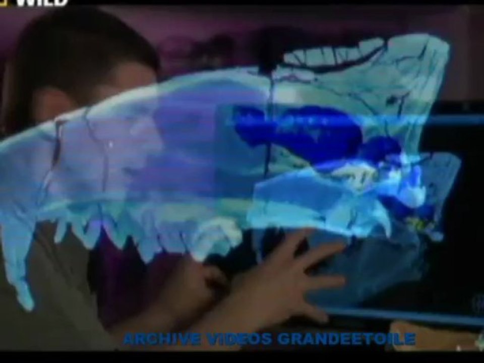 2x4 prédateurs de la préhistoire#les grosses machoires