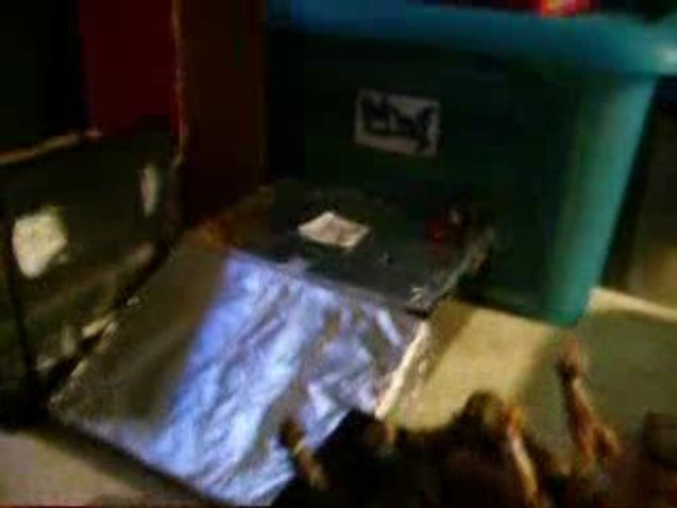 figurines de catch de Max N°4