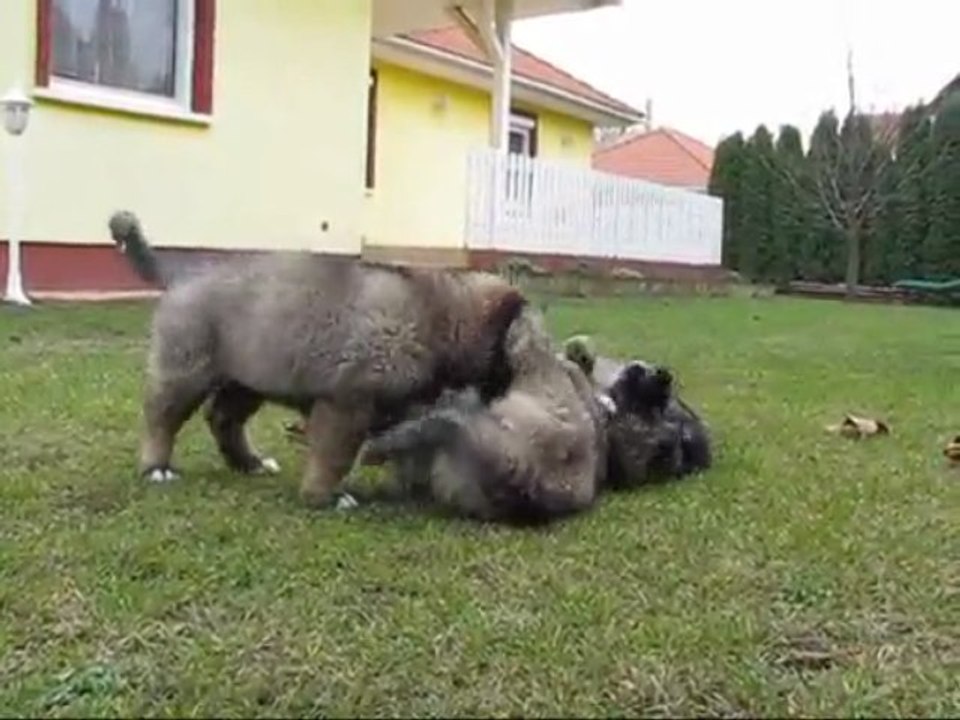 7 hetesen 2.rész