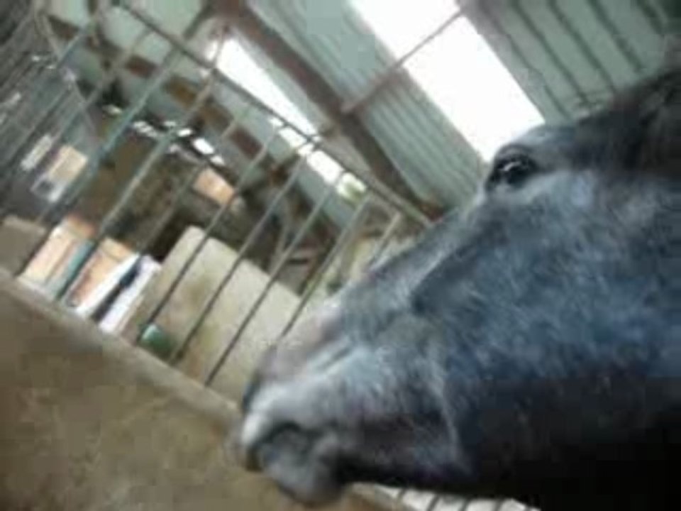ferme 6dec09 004