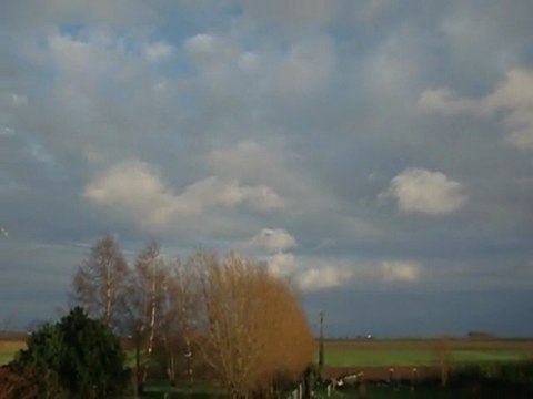 petite volée de pigeons voyageur pour la st Nicolas