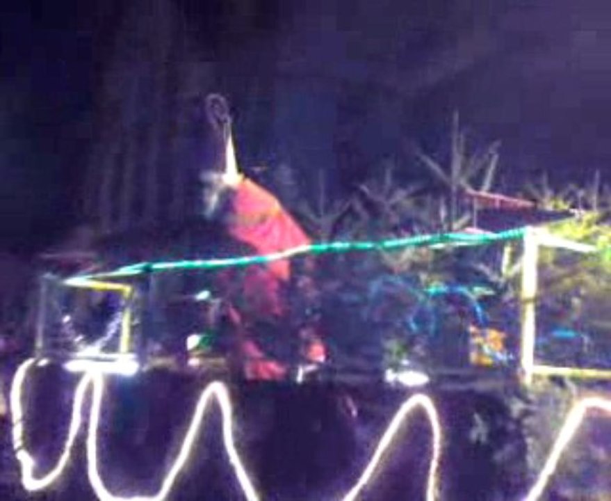char de st nicolas
