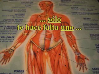 LA LEY DEL MÁS FUERTE /LA LOI DU PLUS FORT