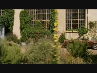 Tatort Stuttgart 724: Tödliche Tarnung (Part 2 von 9)