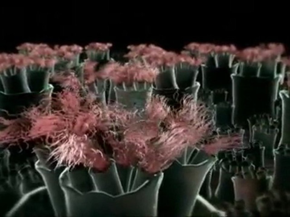 Incroyable Corps Humain [2]