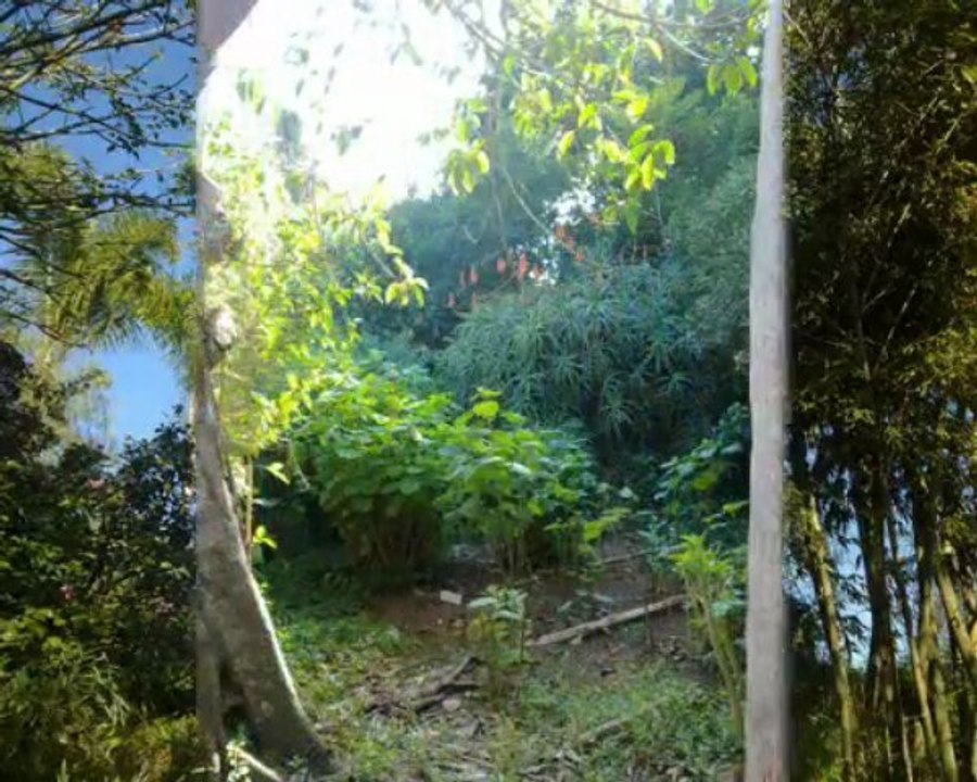 Promenade au jardin des plantes à Rabat