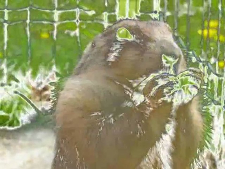 Mes ANGES.... à jamais dans mon coeur !