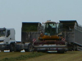 Récolte de la luzerne 2009