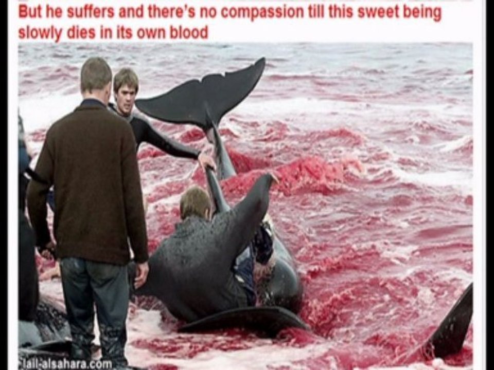 World SHAME