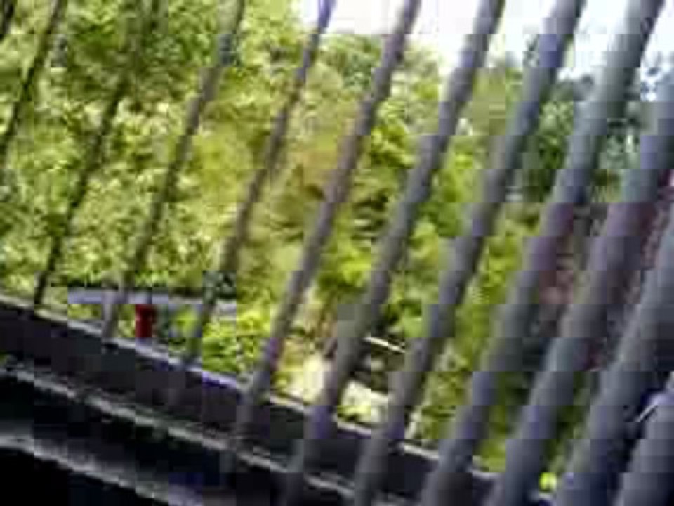 de_stok