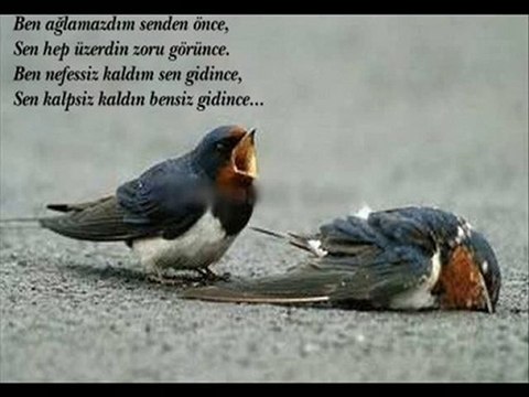 dJSaRaH-Sen Yarim iduN ( yaSemin yıLdız )