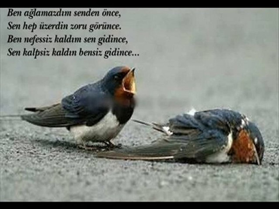 dJSaRaH-Sen Yarim iduN ( yaSemin yıLdız )