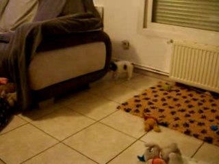 Eros et Shanna jouent avec Engy