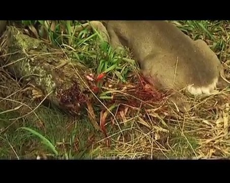 Les gens ne savent pas peut-être 6. Silence on tire