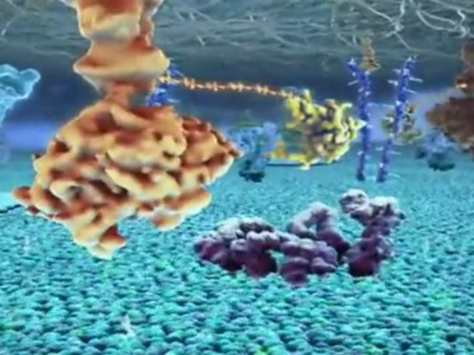 La Naissance de la Vie 3/3