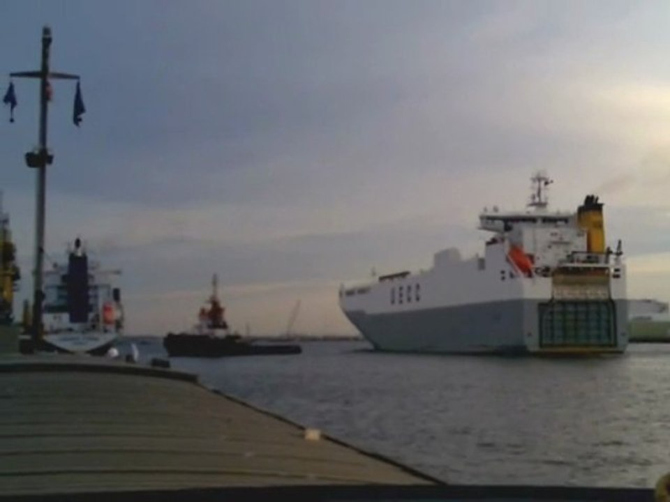 Zeebrugges