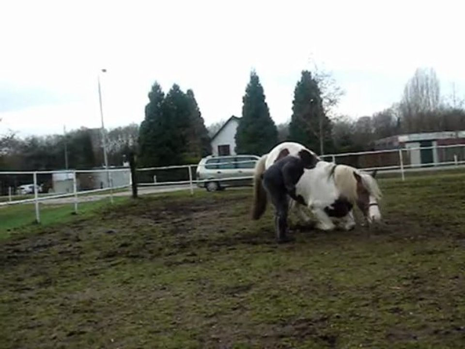 liggen