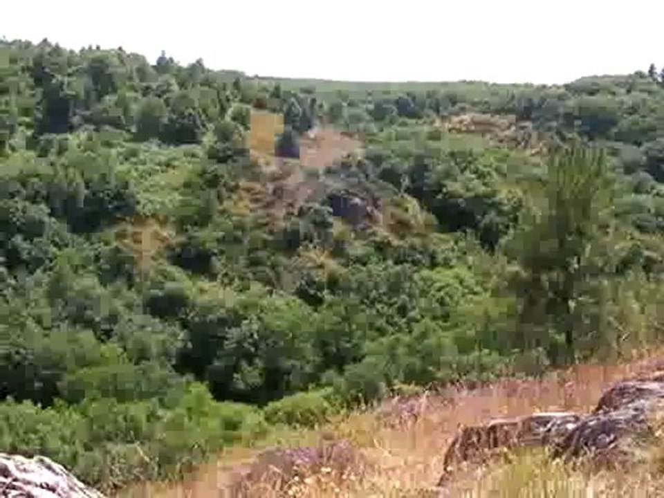 Forêt de Brocéliande en Bretagne - terre de légendes