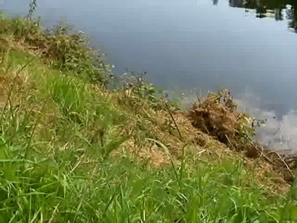 Feins en Haute-Bretagne - Tourisme en Bretagne