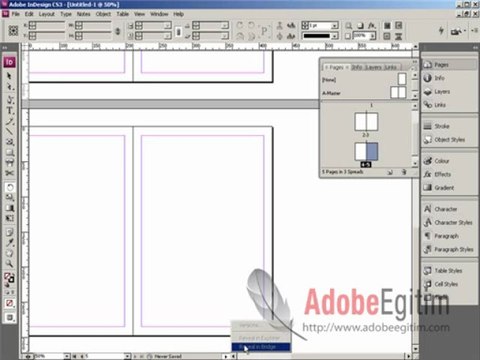 InDesign CS3 Görsel Eğitim Videoları alintiyap.net