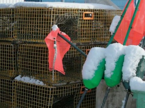 A drive up the coast of New England - First snow of 2009 Hol