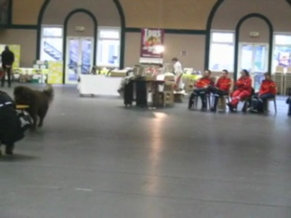 demo telethon