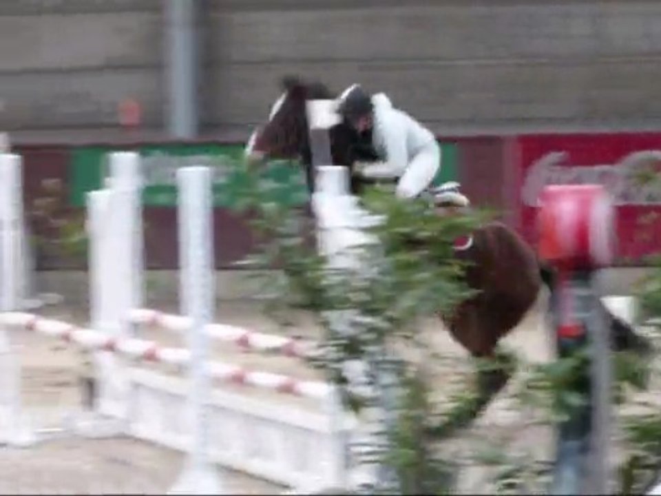 elisa et flash_0001